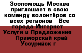 Зоопомощь.Москва приглашает в свою команду волонтёров со всех регионов - Все города Интернет » Услуги и Предложения   . Приморский край,Уссурийск г.